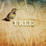 FREE